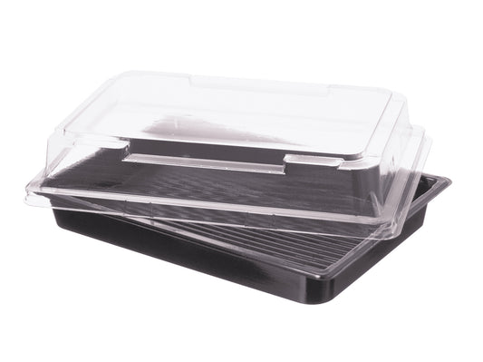 Sushi Schale mit Deckel PET 255x185x20mm - 50 Stück